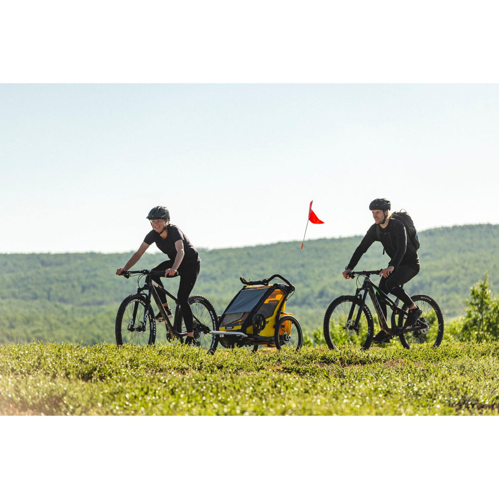 Thule Chariot Sport.